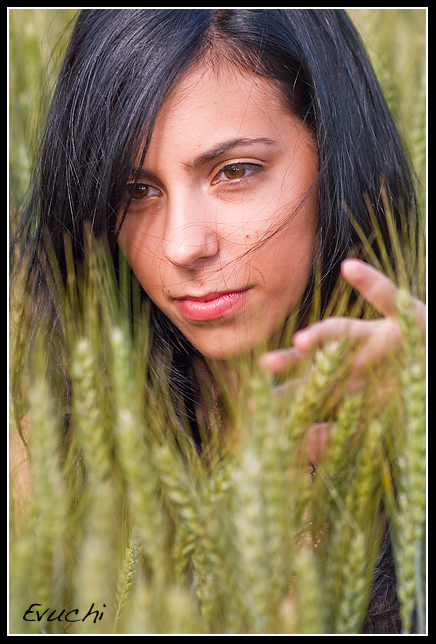 Vicky acecha sigilosa
Keywords: Vicky modelo retrato exteriores campo trigal barcelona moia caborian