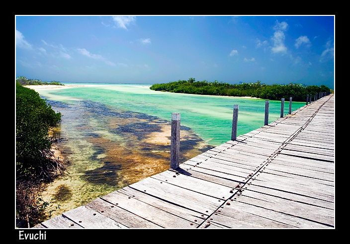  Reserva de Sian Kaan
Keywords: reserva sian kaan mexico mar playa aguas claras biosfera riviera maya  mar
